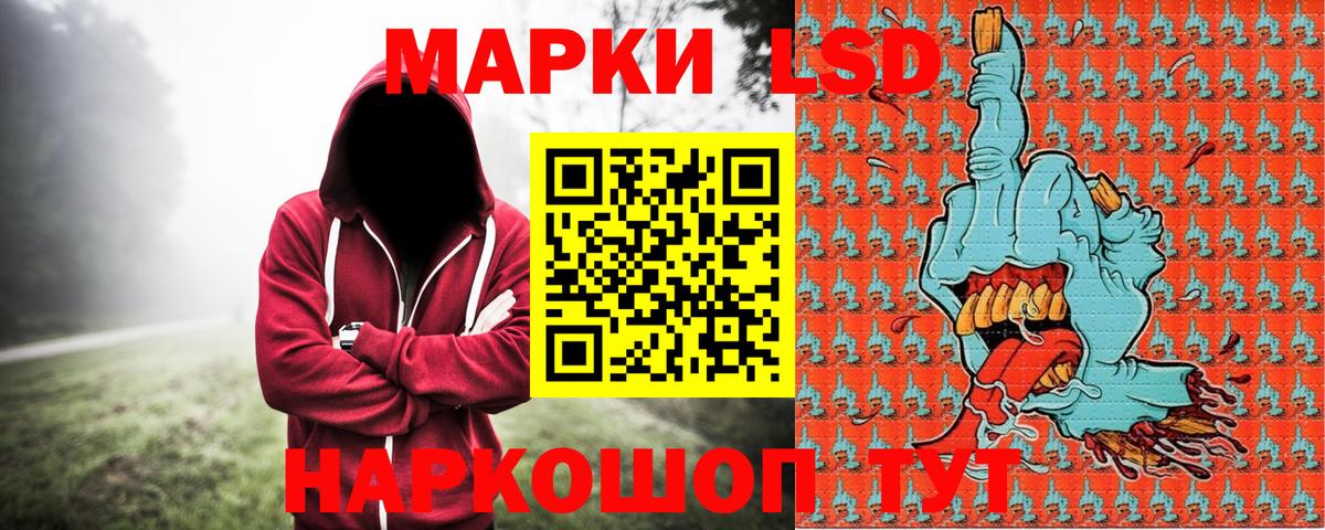 купить наркотик  Марки N-bome 1,5мг  Вход с VPN  Бердск  Марки N-bome 1,5мг 