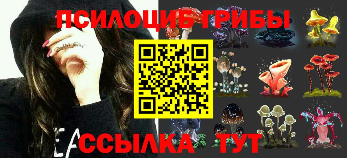Псилоцибиновые грибы мицелий Бердск