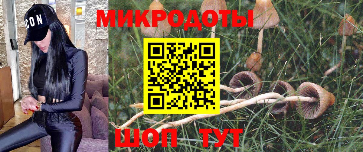 Псилоцибиновые грибы Psilocybine cubensis  купить  цена  Бердск  Вход с VPN 